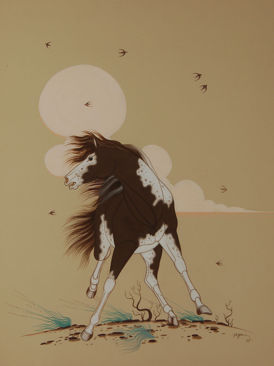 Diné (Navajo) Painting of an Appaloosa Horse Fine Art Native American ...