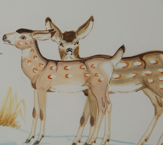 This is a beautifully detailed and rendered painting of deer.  Kai-Sa often painted in European perspective, that is, he painted background and ground plane structures, unlike most pueblo artists who did not include these in paintings.  As in many of his paintings, the animals are actively in motion. His use of color is true to the original, which is accurate to state about all his paintings of animals.  Take notice of the Magpie perched in the tree branch overlooking an egg in the nest.  Condition: The painting appears to be in original excellent condition, although it has not been examined out of the frame.  Provenance: an Albuquerque collector  Recommended Reading: The Biographical Directory of Native American Painters by Patrick D. Lester 