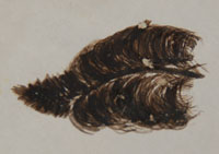 Signature of artist: Helen Naha (1922-1993) Feather Woman