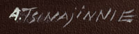 Andrew Van Tsihnahjinnie, Diné Artist signature