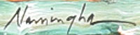 Artist Signature of Dan Namingha, Hopi Pueblo Artist