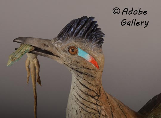 Close up view of the face of the roadrunner.