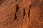 Artist carved initials of Brian Honyouti, Hopi Pueblo Carver