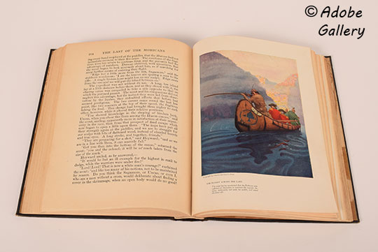 Example pages from this book with illustrations.