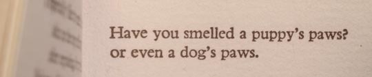 Excerpt from the book: Have you smelled a puppy's paws? or even a dog's paws.